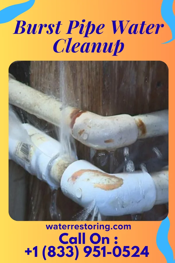 Burst Pipe Water Cleanup in Bernalillo, NM