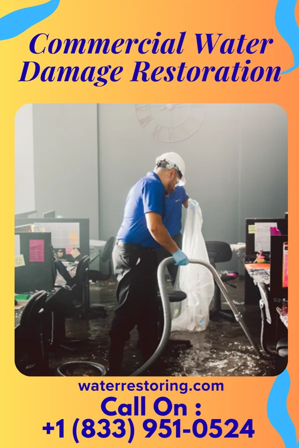 Commercial Water Damage Restoration in Bernalillo, NM